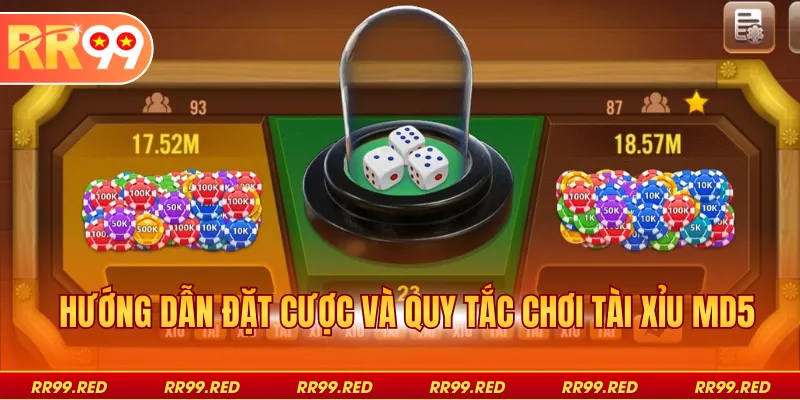 Hướng dẫn đặt cược và quy tắc chơi tài xỉu MD5