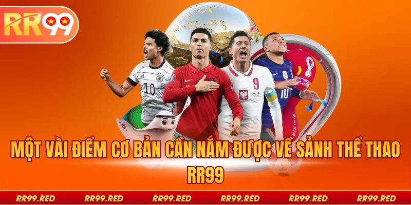Một vài điểm cơ bản cần nắm được về sảnh thể thao RR99