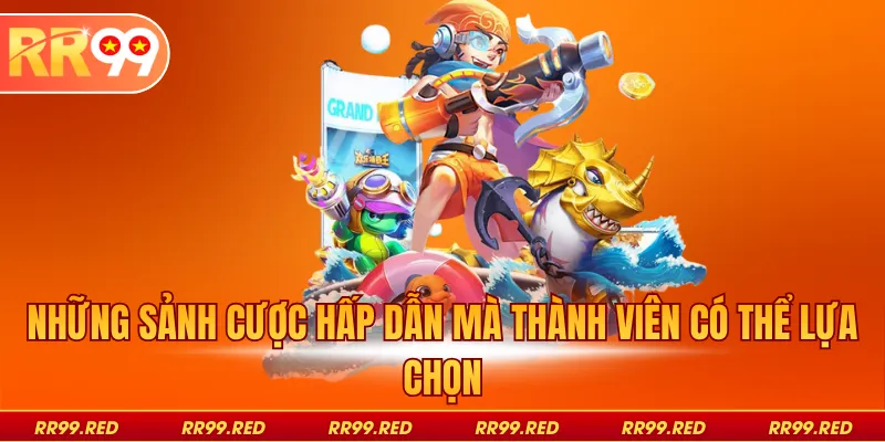 Những sảnh cược hấp dẫn mà thành viên có thể lựa chọn
