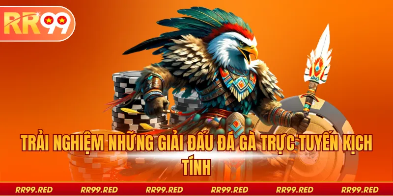 Trải nghiệm những giải đấu đá gà trực tuyến kịch tính